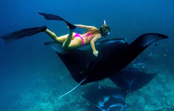 Čo robiť na Maldivách 3